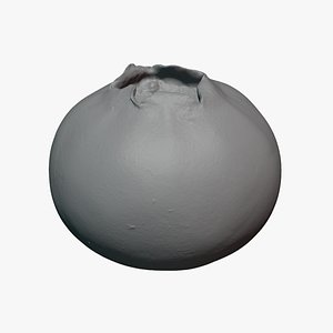 Blueberry 03 - For 3D Print 3D model