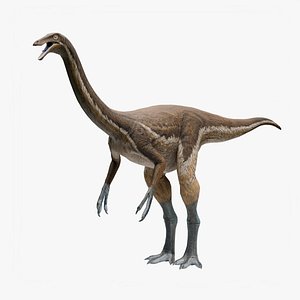 3D Gallimimus - Dinosaur