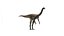 3D Gallimimus - Dinosaur