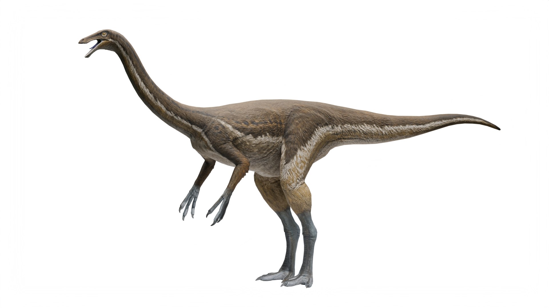3D Gallimimus - Dinosaur https://p.turbosquid.com/ts-thumb/52/qzATBZ/nb/2/png/1769686201/1920x1080/fit_q87/4c63eaab7b45363ee7781f061fb80cb4784f9e36/2.jpg