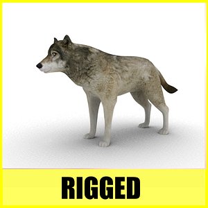Wolf