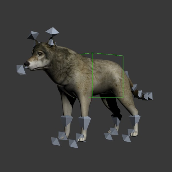 3ds wolf rigged animation