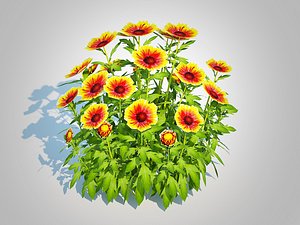 Gaillardia - Blanket Flower