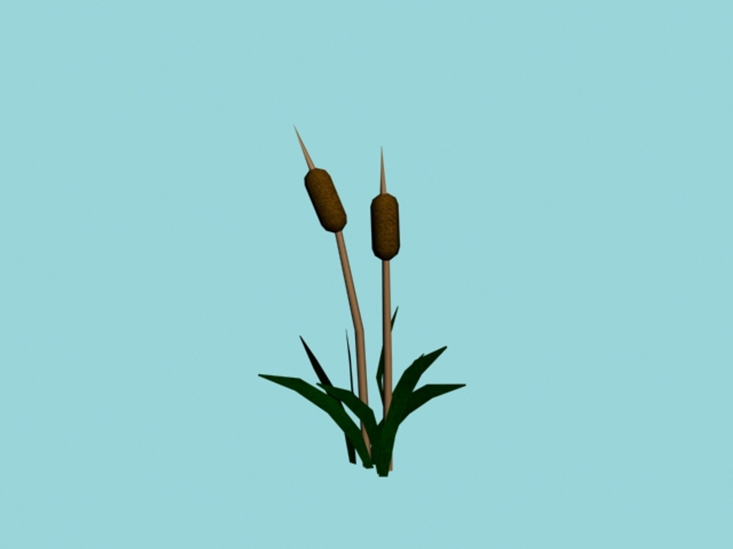 3d plant water