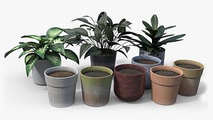 Potted Plants PBR