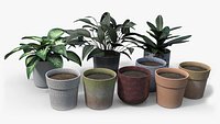 Potted Plants PBR
