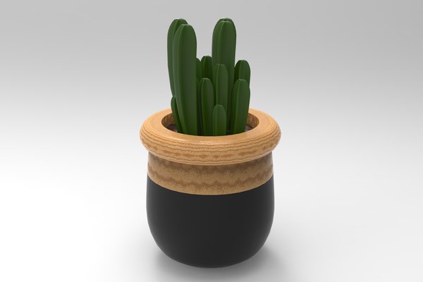 Cactus Plant 3D model