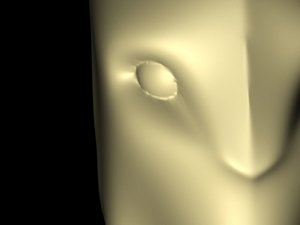 free max model avatar head