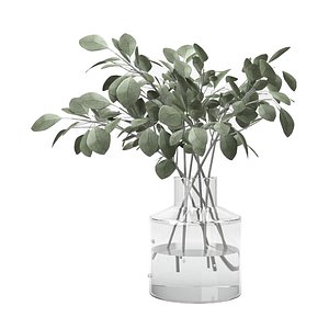 eucalyptus bouquet in glass vase model