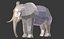 Elefante africano Low Poly