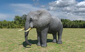 African Elephant Low Poly