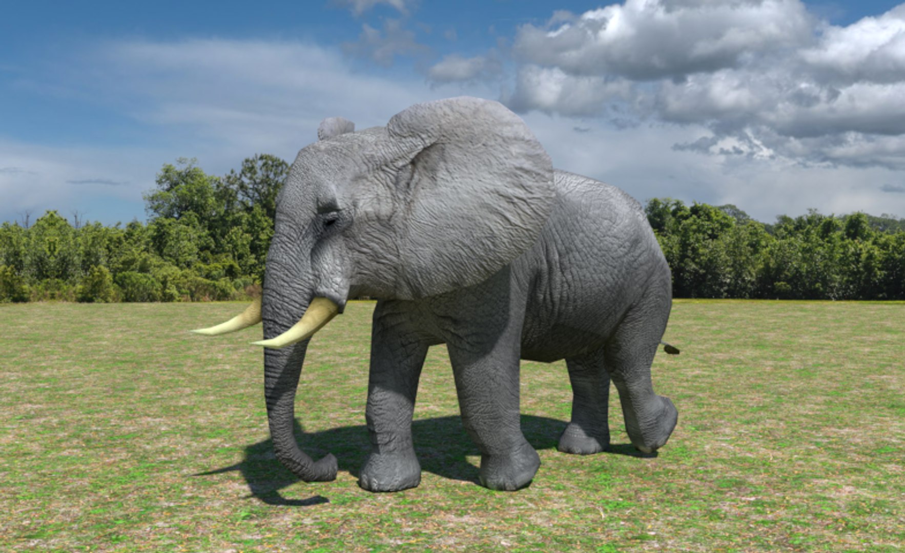 african elephant 3d max https://p.turbosquid.com/ts-thumb/53/oC70eg/OOOM1T0g/002/png/1489604144/1920x1080/fit_q87/3eace0370327133c72552a049ddfb39106a6c3e5/002.jpg