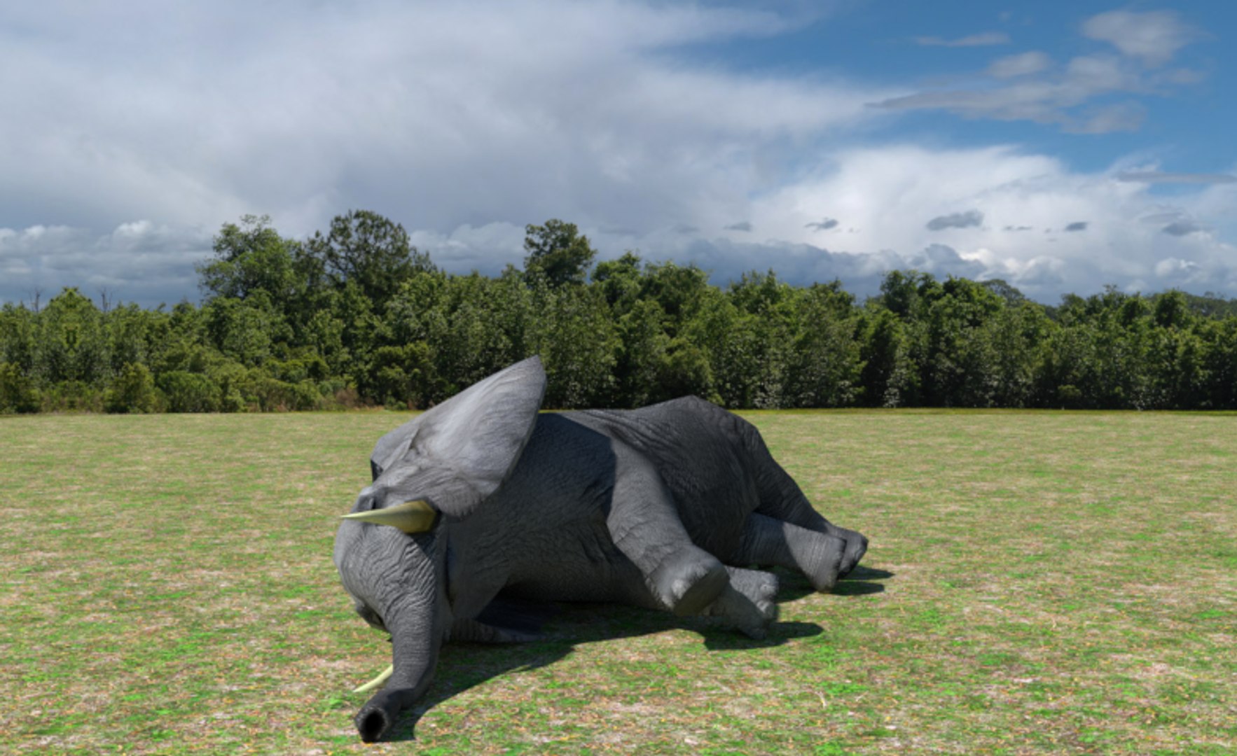 african elephant 3d max https://p.turbosquid.com/ts-thumb/53/oC70eg/YO0vovKz/005/png/1489604144/1920x1080/fit_q87/a7a9bb7994237b82287bb7e0ea9965004491edf6/005.jpg