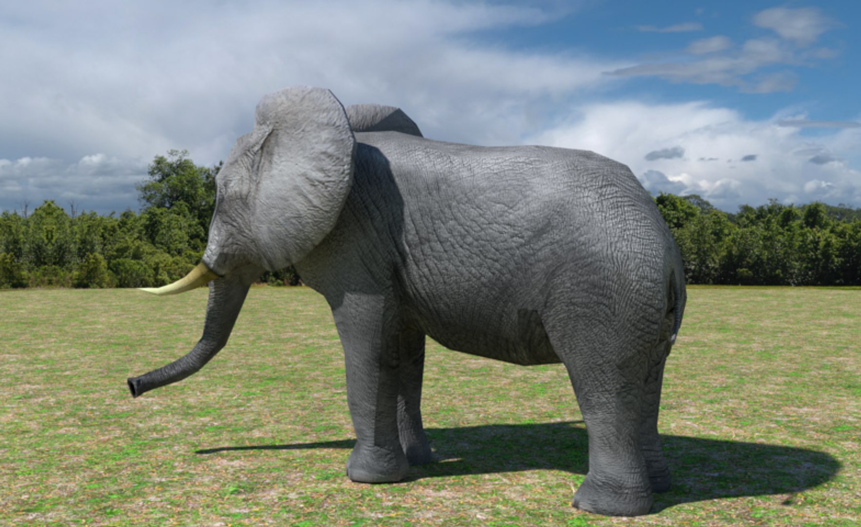 african elephant 3d max https://p.turbosquid.com/ts-thumb/53/oC70eg/dM6DLJg2/004/png/1489604144/1920x1080/fit_q87/5cfd8f1f1e4184dac7e8c6baaef47d4fa50d2c95/004.jpg