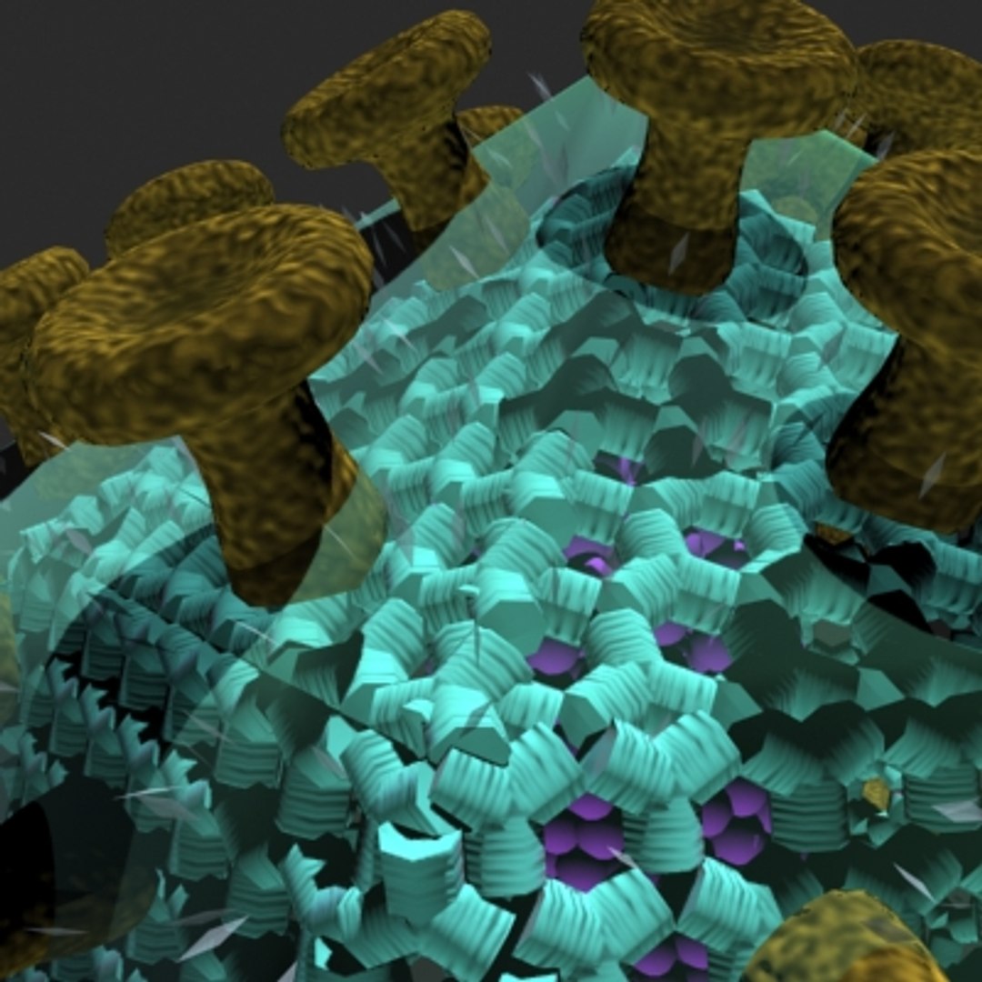 Aids Hiv Virus 3d Max