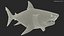 3D Ancient Megashark