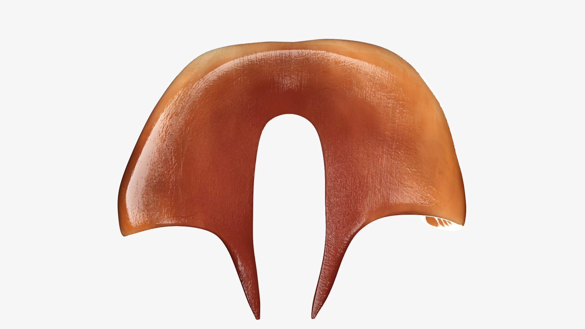 3D Diaphragm https://p.turbosquid.com/ts-thumb/54/XYcDMm/69/z05/jpg/1708150093/1920x1080/fit_q87/07f641b5e01c894e3dcdf471a40c9f4a66dd3bee/z05.jpg