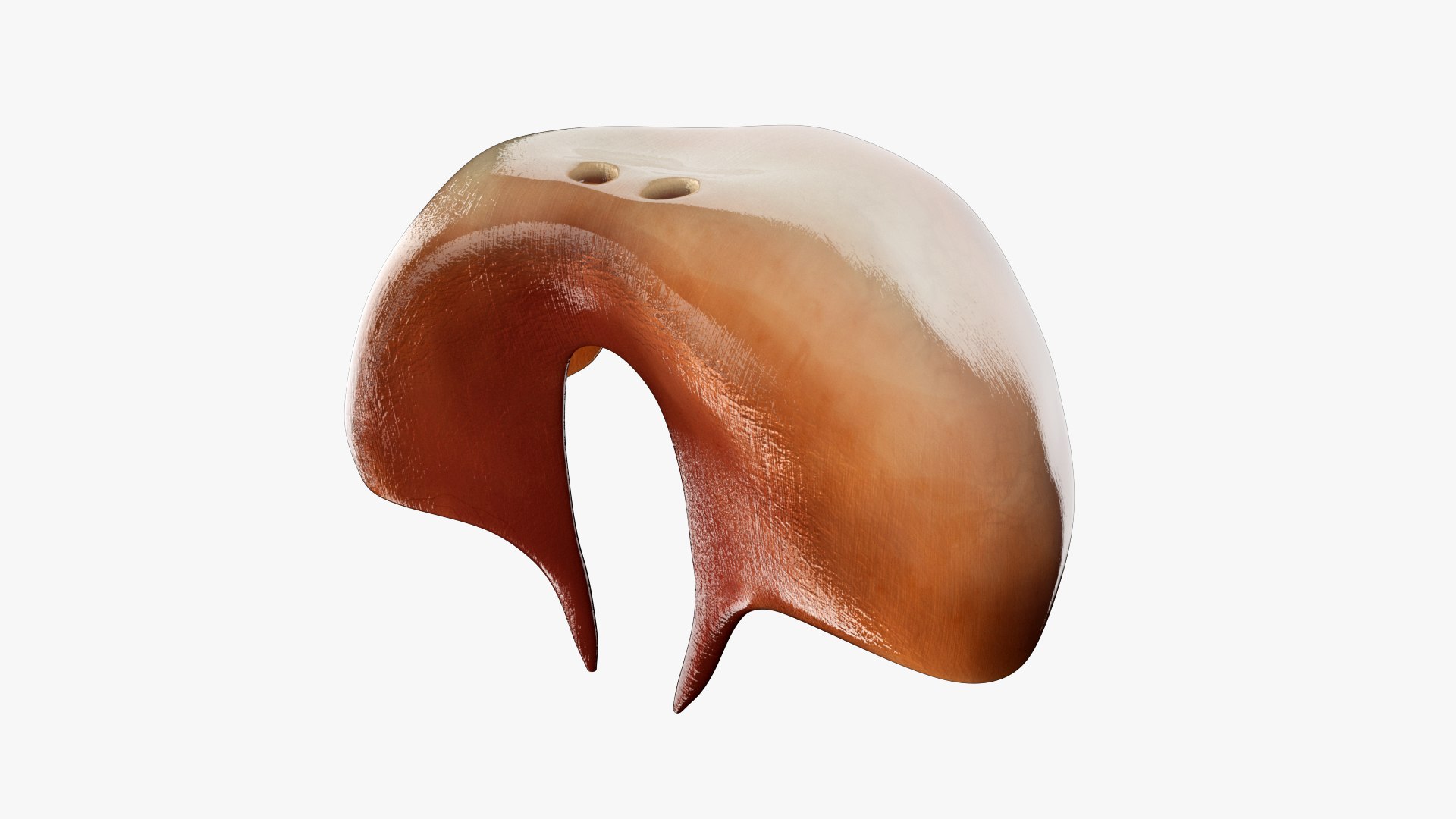3D Diaphragm https://p.turbosquid.com/ts-thumb/54/XYcDMm/Tr/z06/jpg/1708150096/1920x1080/fit_q87/b0f41e5ac18f77f421976fe87a102063eb67c2a8/z06.jpg
