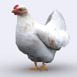 3d - chicken