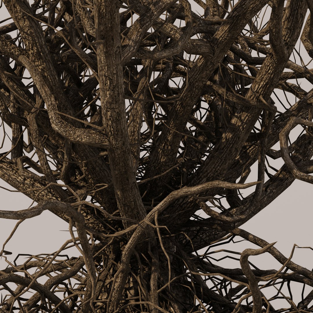 2 tree branch 3D model - TurboSquid 1540388