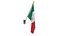 Wall Flag Mexico