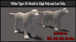 White Tiger High Poly and Low Poly