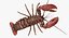 3d lobster rigged model