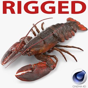 Lobster Rigged for Cinema 4D