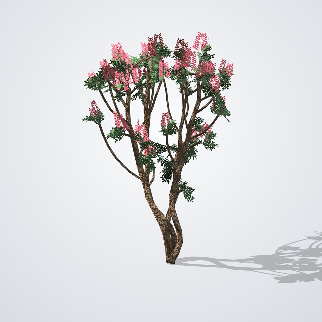 Crape Myrtle Tree Red Flowering - Lagerstroemia indica 3D model https://p.turbosquid.com/ts-thumb/56/DXjlVo/cD/lagerstroemiaindica_01_front/png/1790120553/1920x1080/fit_q87/4aa6d34b1033c4422dc1e504f5c26b7a06a306e5/lagerstroemiaindica_01_front.jpg
