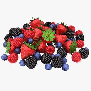 3D realistic berry fruit