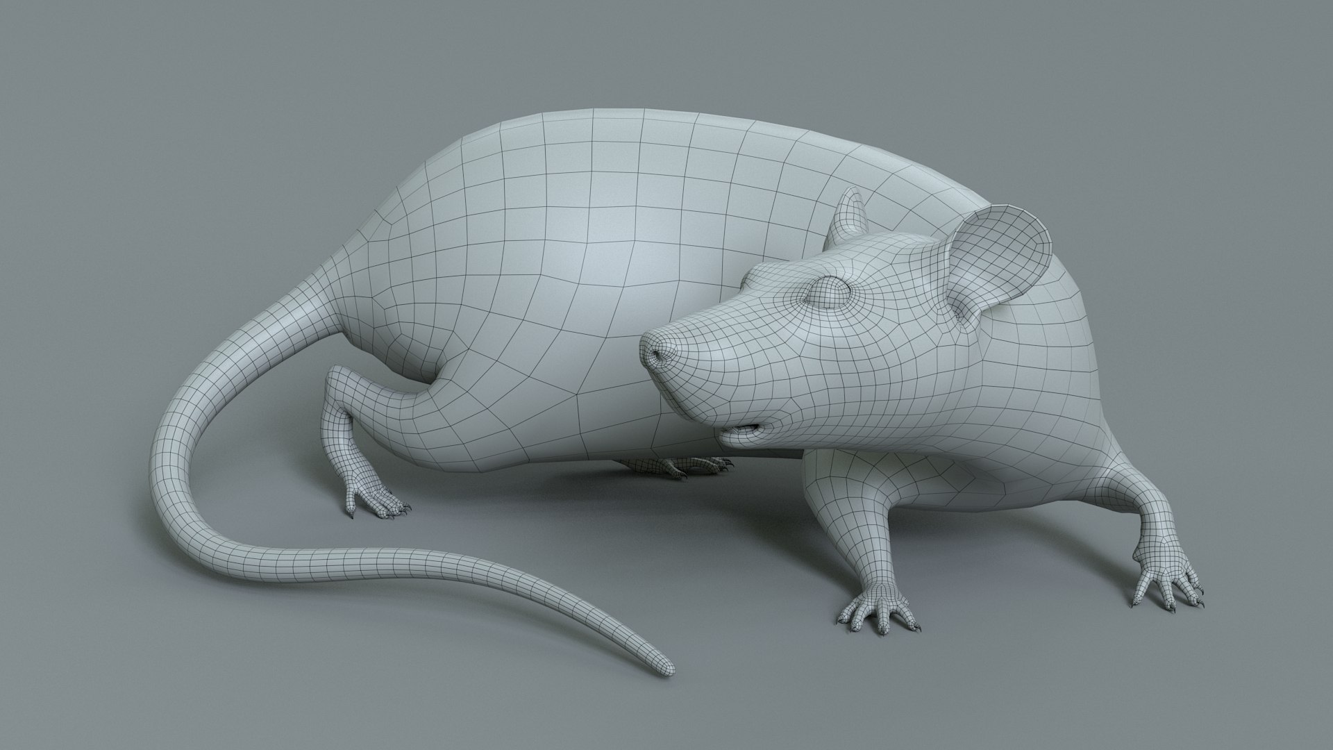 3D Rat Rigged - TurboSquid 2212274