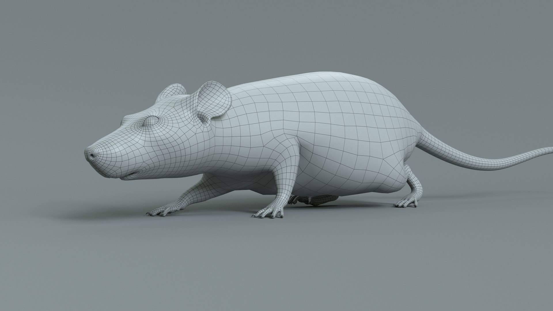 3D Rat Rigged - TurboSquid 2212274