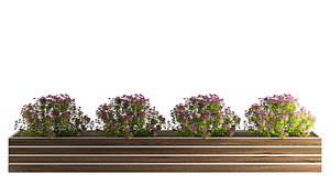 3D Outdoor Plant 015
