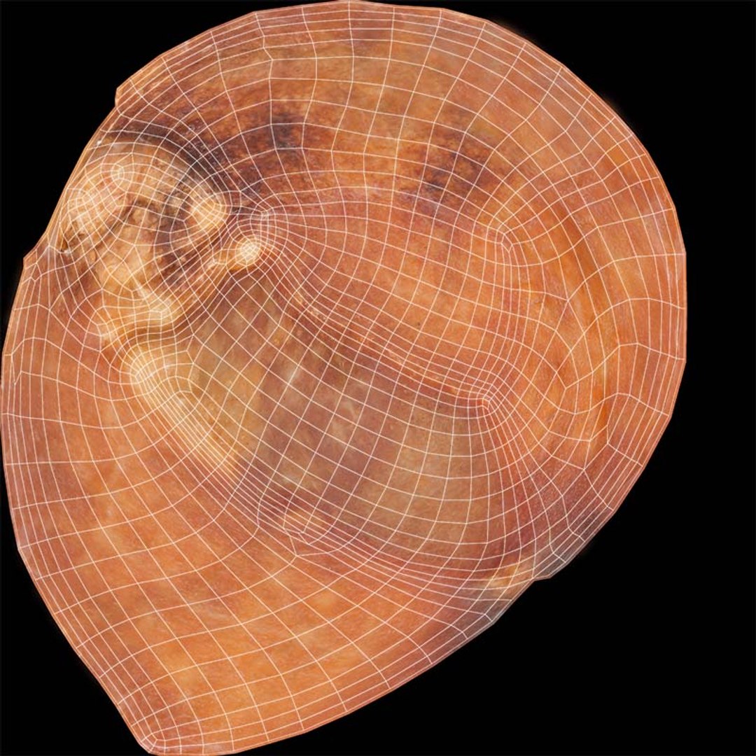 3D Red Veiny Meat Fondue 1 Remastered https://p.turbosquid.com/ts-thumb/56/b73O1e/hp/red_veiny_meat_fondue_1_uv/jpg/1740353412/1920x1080/fit_q87/8c3d13d0951172f587db09652e57b5458162b470/red_veiny_meat_fondue_1_uv.jpg