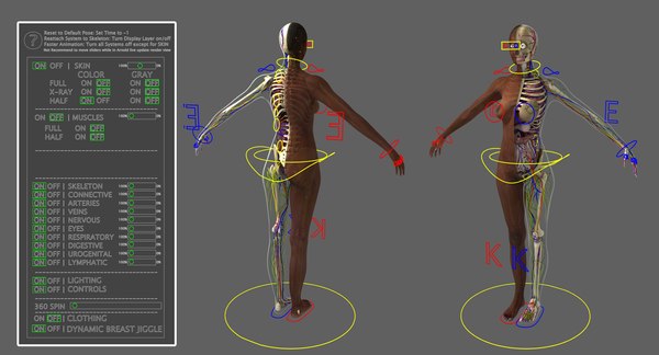 Ultimate Rigged African American Combo3Dモデル - TurboSquid 1346395