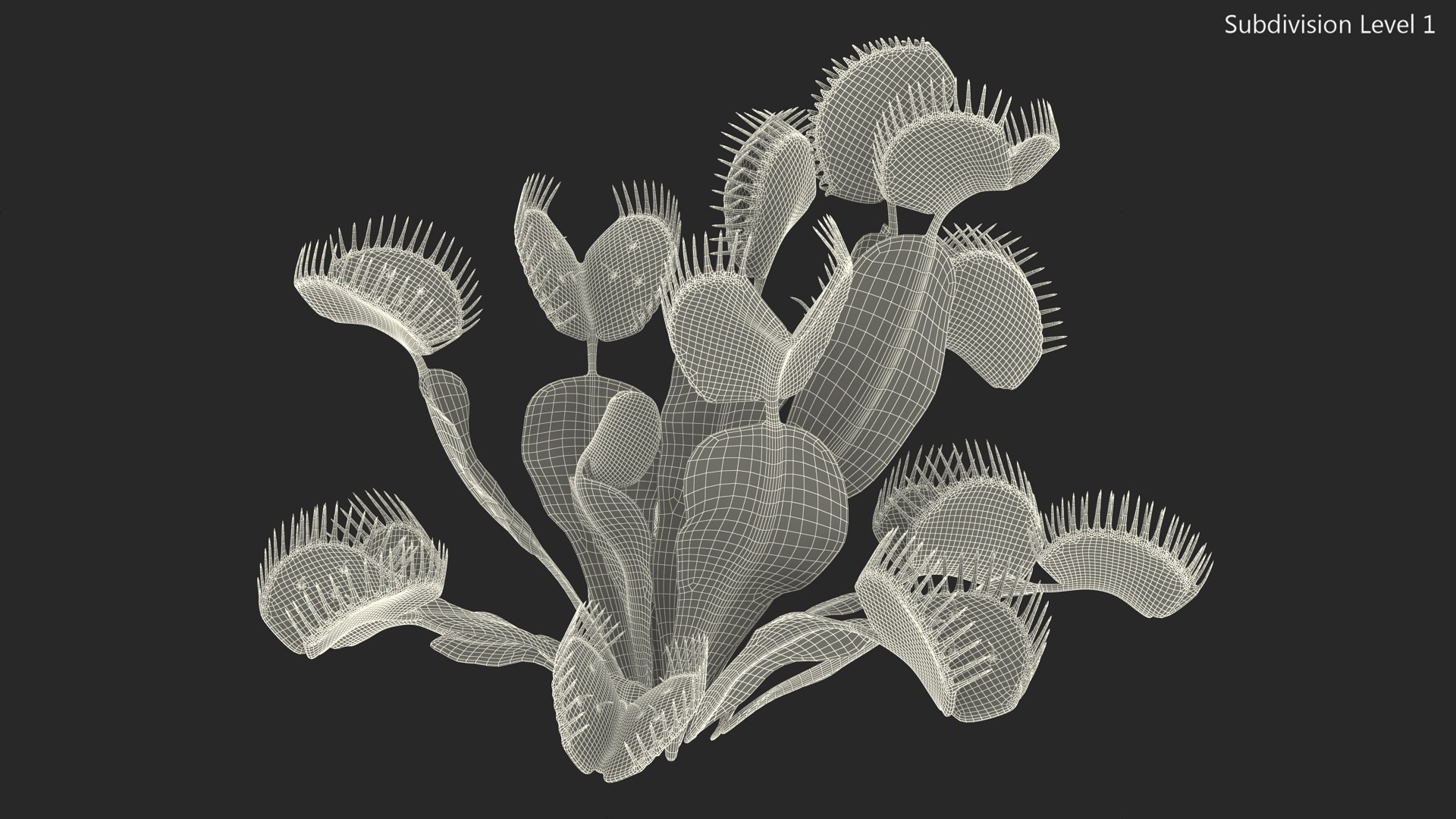 Venus Flytrap Phalanx 3D model https://p.turbosquid.com/ts-thumb/56/r4mpyL/3G/venusflytrapphalanx3dmodel013/jpg/1717178193/1920x1080/fit_q87/dd5bb304648c6afe9184e9c5e1b2333e22e8f106/venusflytrapphalanx3dmodel013.jpg