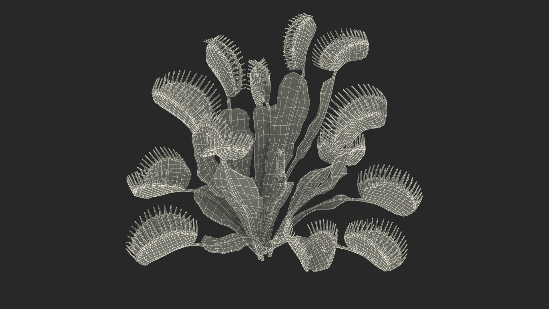 Venus Flytrap Phalanx 3D model https://p.turbosquid.com/ts-thumb/56/r4mpyL/FT/venus_flytrap_phalanx_361/jpg/1717177993/1920x1080/turn_fit_q99/377e3dca5e749a975ebfc1e6466d72f1fefc0fe1/venus_flytrap_phalanx_361-1.jpg