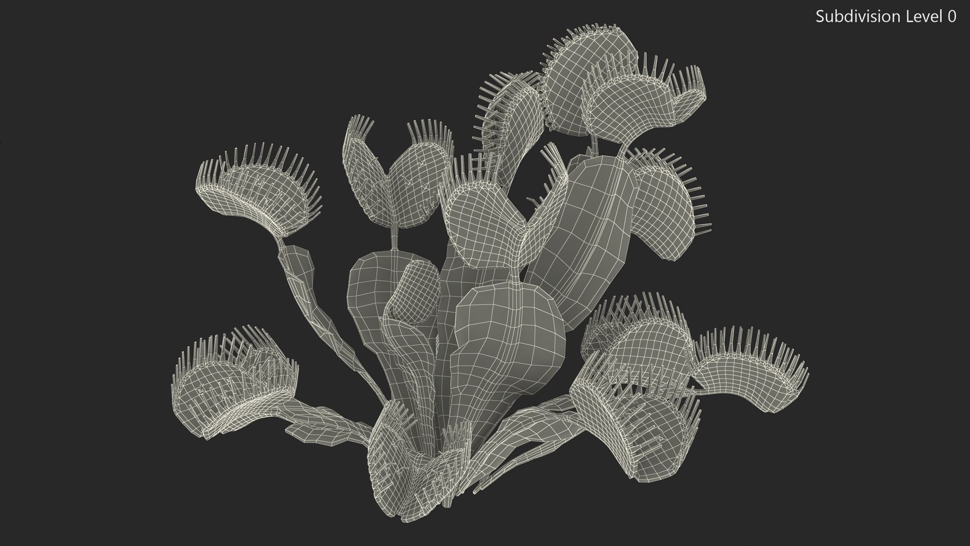 Venus Flytrap Phalanx 3D model https://p.turbosquid.com/ts-thumb/56/r4mpyL/ON/venusflytrapphalanx3dmodel012/jpg/1717178189/1920x1080/fit_q87/4b3820a38ebb38beb65d9b7bca46faf4a839c0cd/venusflytrapphalanx3dmodel012.jpg