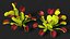 Venus Flytrap Phalanx