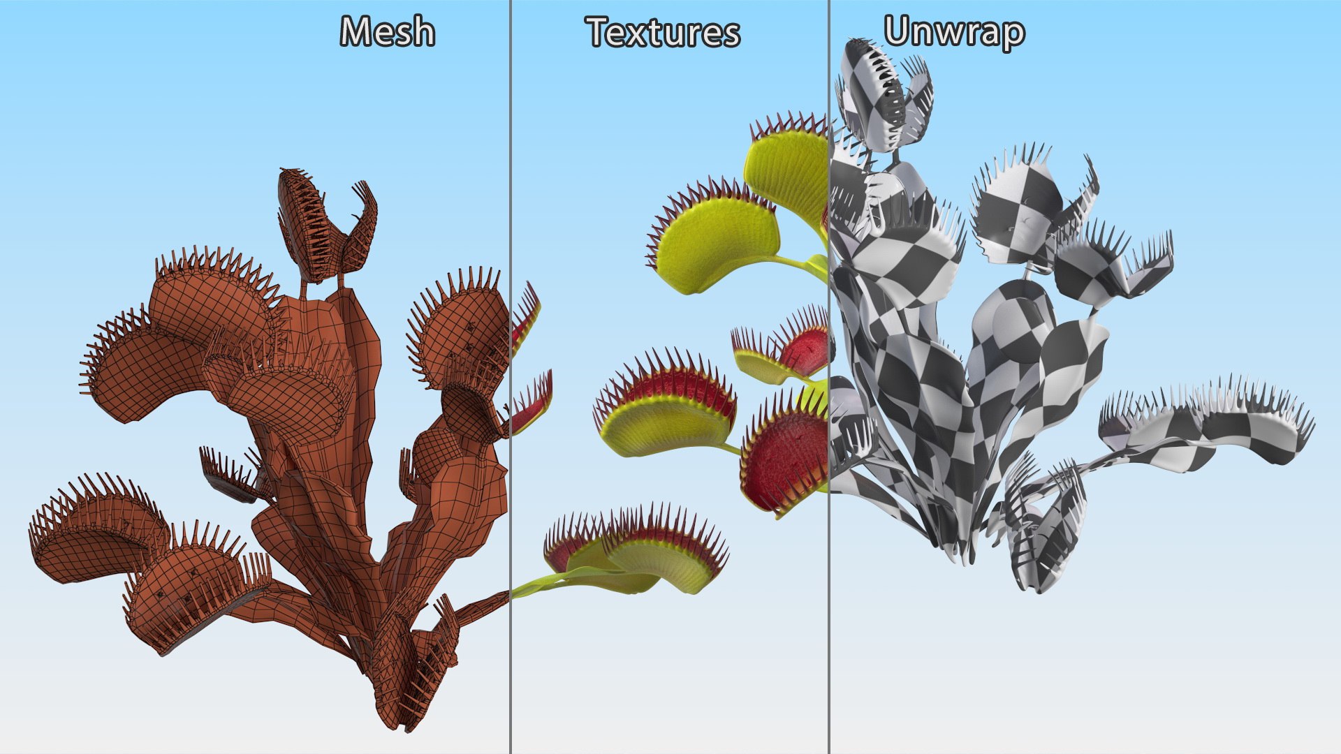 Venus Flytrap Phalanx 3D model https://p.turbosquid.com/ts-thumb/56/r4mpyL/P2/venusflytrapphalanx3dmodel011/jpg/1717178186/1920x1080/fit_q87/b08b340d2732963447107b11a7a609da1d07b9ec/venusflytrapphalanx3dmodel011.jpg