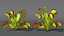 Venus Flytrap Phalanx