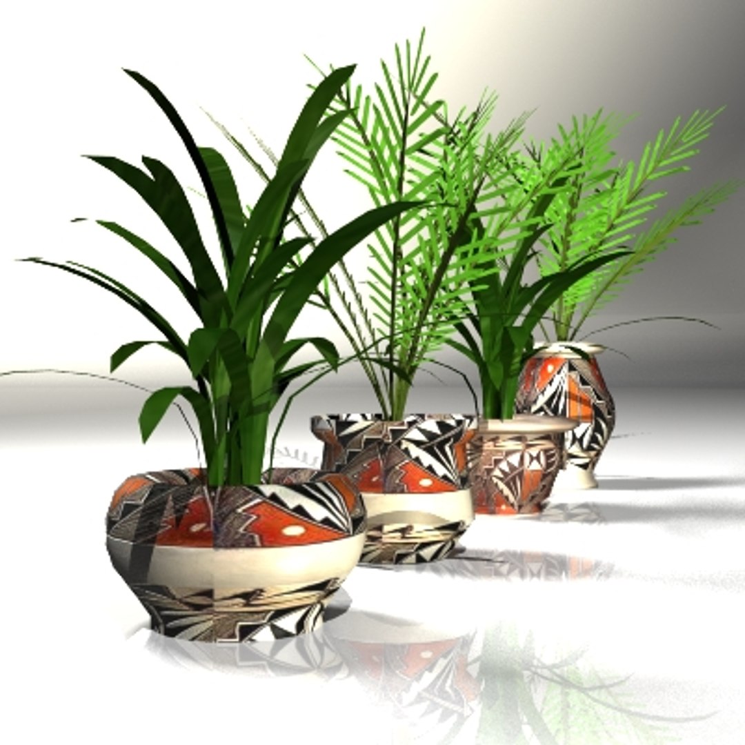 3d plants potted model https://p.turbosquid.com/ts-thumb/57/2FCrIm/2YwcDKrE/img_001/jpg/1218556123/1920x1080/fit_q87/b583e0671f2c485872954f5d8233cb46637d5875/img_001.jpg