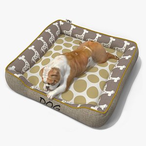 3D model Bulldog Sleep in Pet Bed