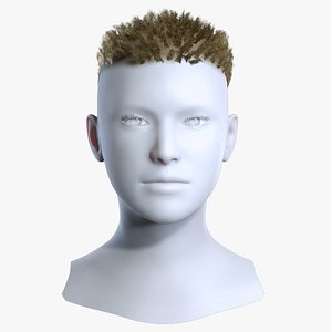 3D Men Curly High Top Fade Blonde Hair Asset model