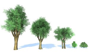 3D model stylized trees
