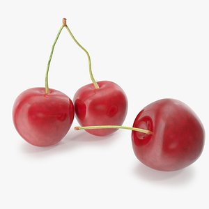 3d cherry rendering model