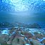 max underwater scene