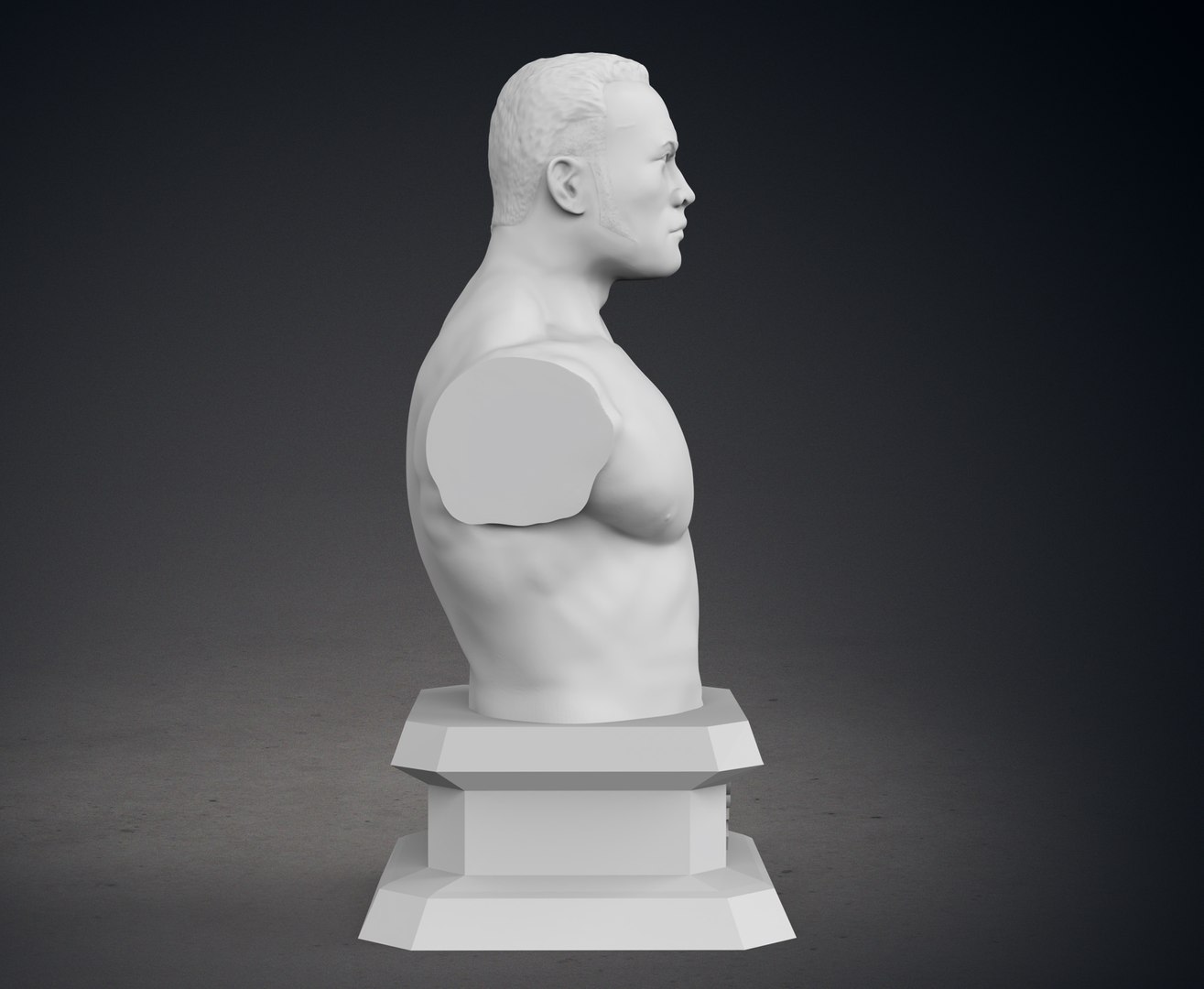 The Rock Bust - Classic Version 3D Model - TurboSquid 2226875