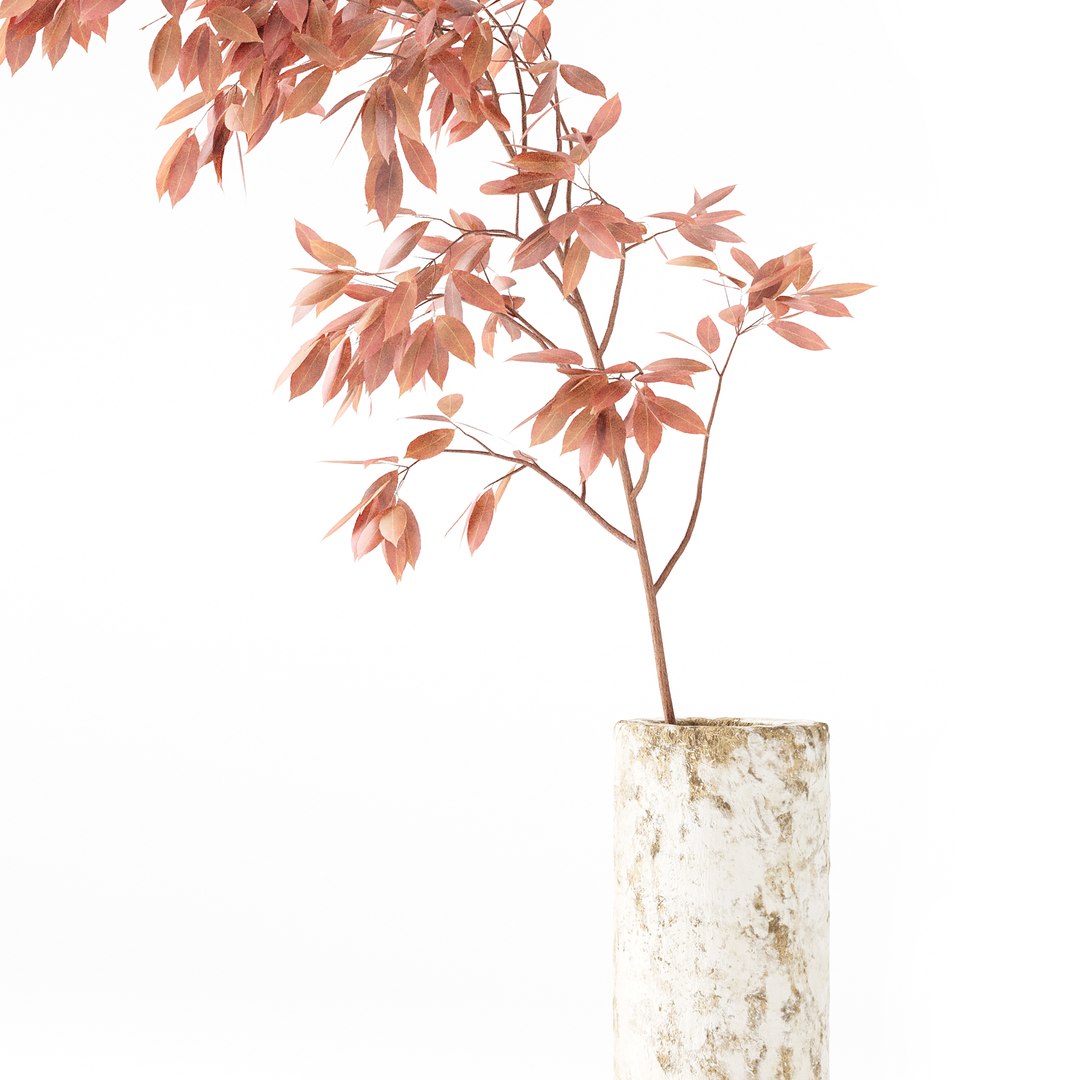 3D Plants Bouquet 05 https://p.turbosquid.com/ts-thumb/57/aTu1tx/c2/z06/jpg/1707203462/1920x1080/fit_q87/30ae1e7f0df29b53c0087f65182867ac0a2370c6/z06.jpg