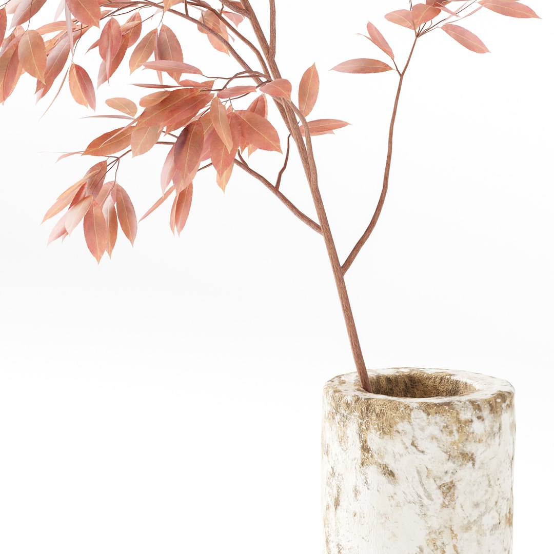 3D Plants Bouquet 05 https://p.turbosquid.com/ts-thumb/57/aTu1tx/fZ/z02/jpg/1707203460/1920x1080/fit_q87/4788c456dd579e1705cba980c46f7f3d5368837e/z02.jpg